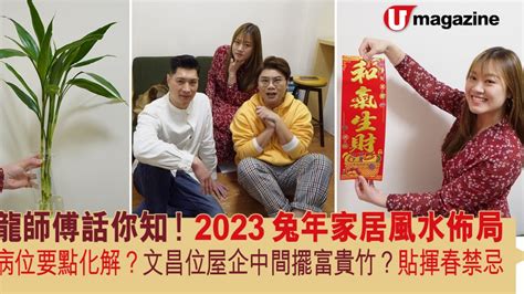 兔年病位化解|2023兔年家居風水佈局 龍師傅話你知！ 病位要點化。